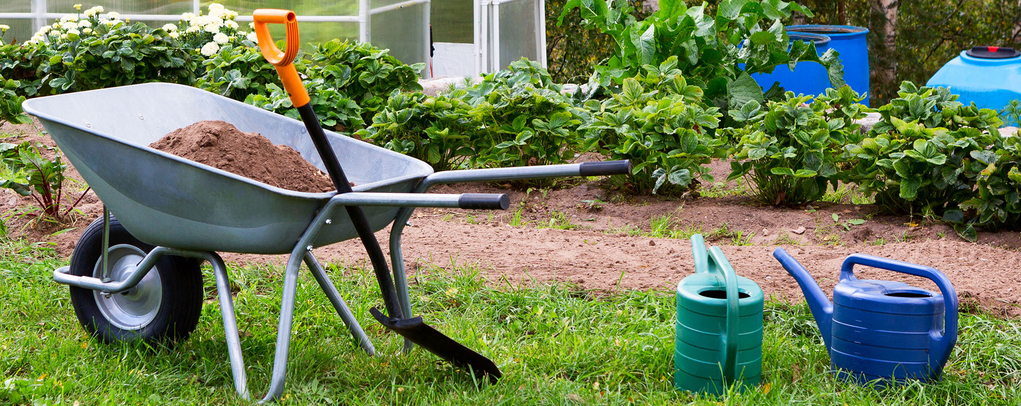 Best Garden Care Shop 1 Best Garden Care Shop -Best Garden Care Shop 1